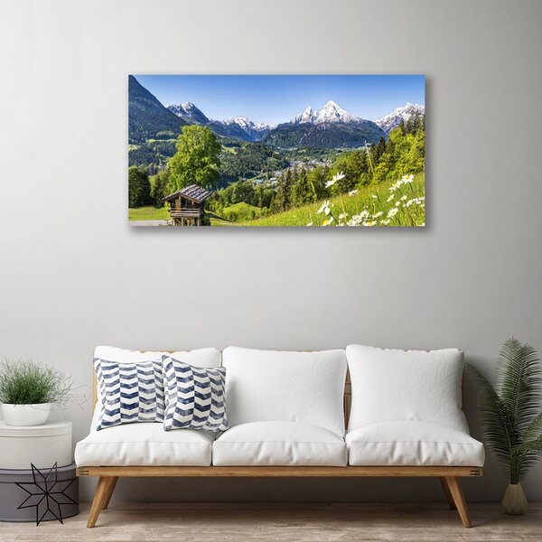 Quadro su tela Montagna del campo naturale 100x50 cm