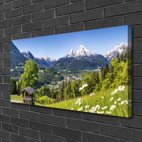 Quadro su tela Montagna del campo naturale 100x50 cm