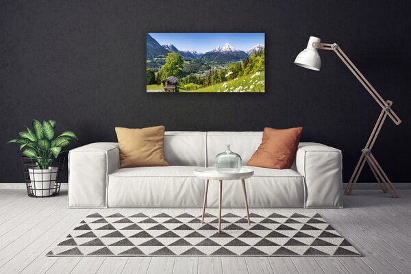 Quadro su tela Montagna del campo naturale 100x50 cm