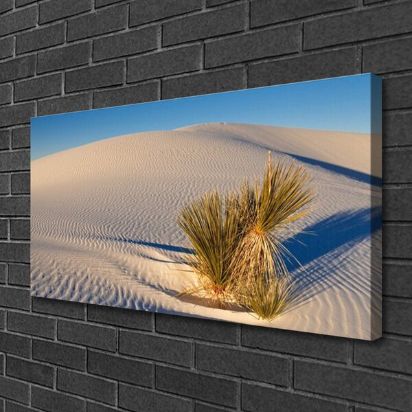 Quadro su tela Paesaggio di sabbia del deserto 100x50 cm