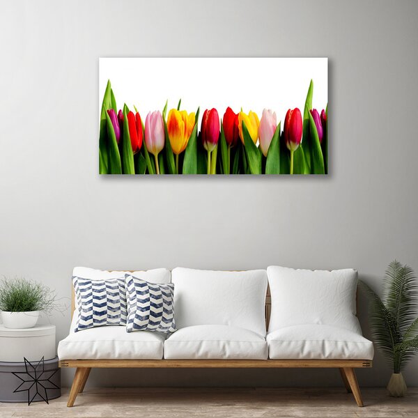 Quadro su tela Tulipani Pianta 100x50 cm
