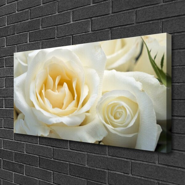 Quadro su tela Fiori di rose 100x50 cm