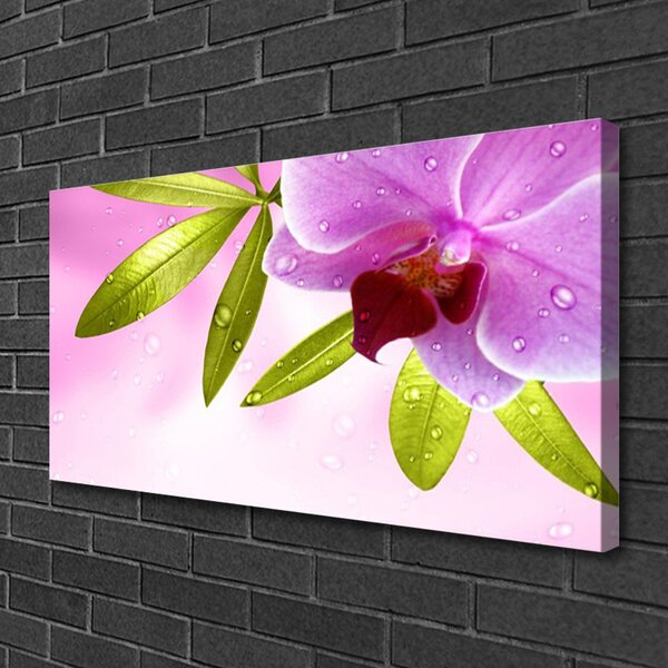 Quadro su tela Fiore Foglie 100x50 cm