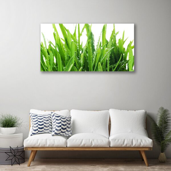Quadro su tela L'erba La pianta 100x50 cm