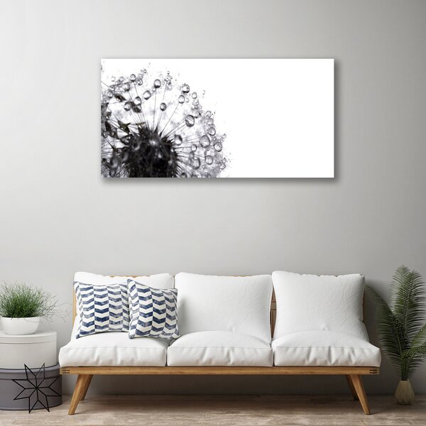 Stampa quadro su tela Pianta di tarassaco 100x50 cm