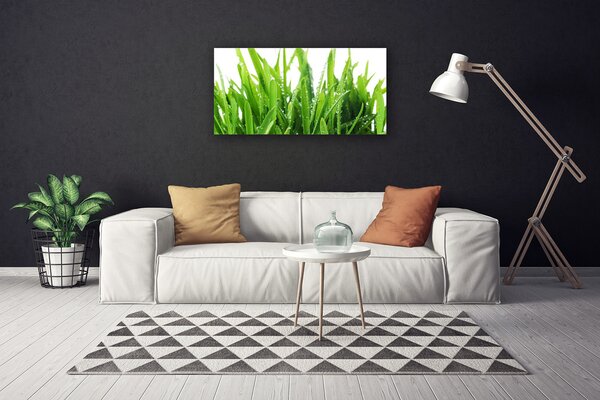 Quadro su tela L'erba La pianta 100x50 cm