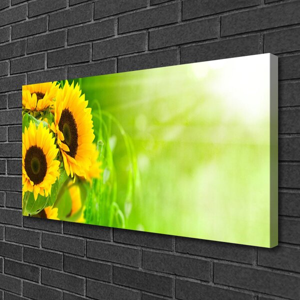 Quadro su tela Girasoli Pianta 100x50 cm