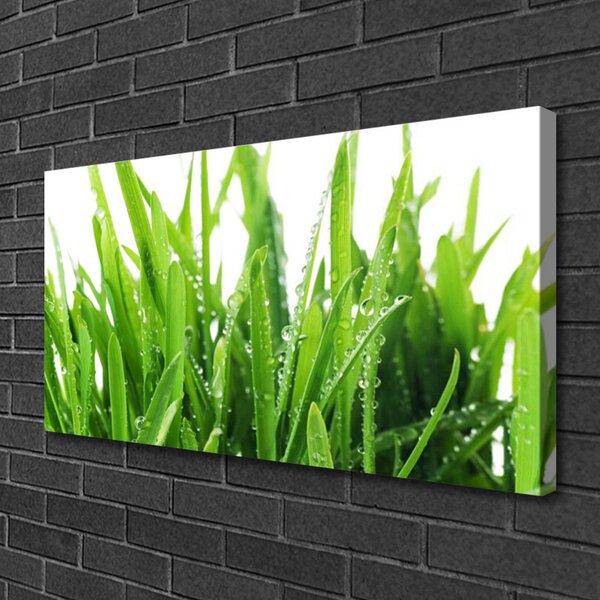 Quadro su tela L'erba La pianta 100x50 cm