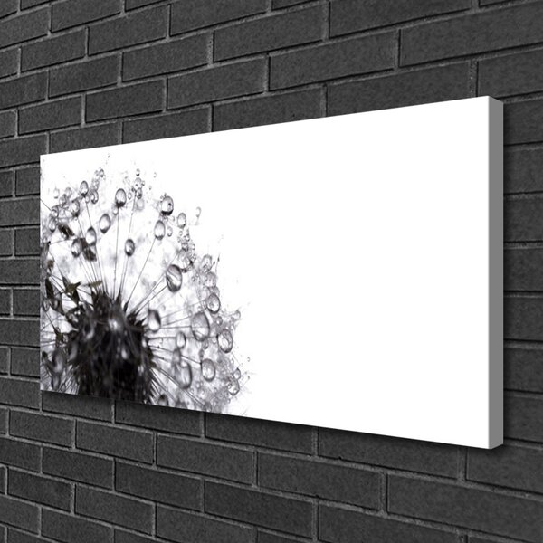 Stampa quadro su tela Pianta di tarassaco 100x50 cm