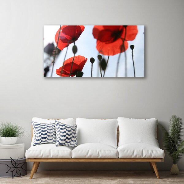 Quadro su tela Pianta di papaveri 100x50 cm