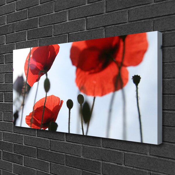 Quadro su tela Pianta di papaveri 100x50 cm