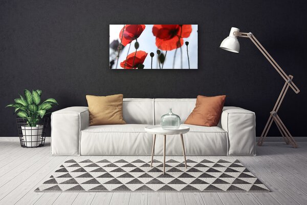 Quadro su tela Pianta di papaveri 100x50 cm