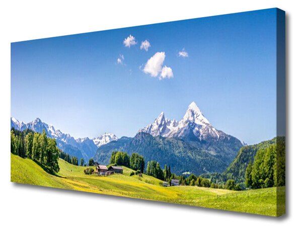 Quadro su tela Paesaggio di montagna di campi di alberi 120x60 cm