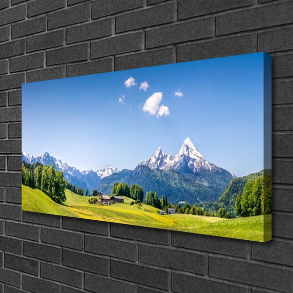 Quadro su tela Paesaggio di montagna di campi di alberi 100x50 cm