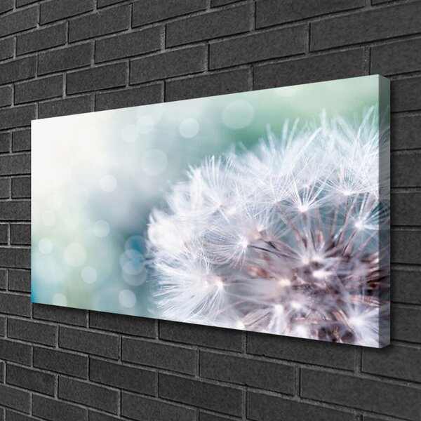 Quadro su tela Pianta di tarassaco 100x50 cm