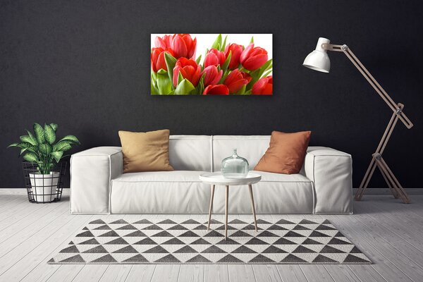 Quadro su tela Tulipani, fiori, piante 100x50 cm