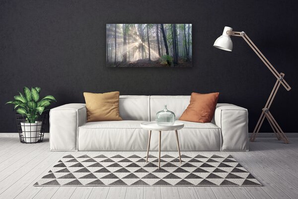 Quadro su tela Alberi della natura della foresta 100x50 cm