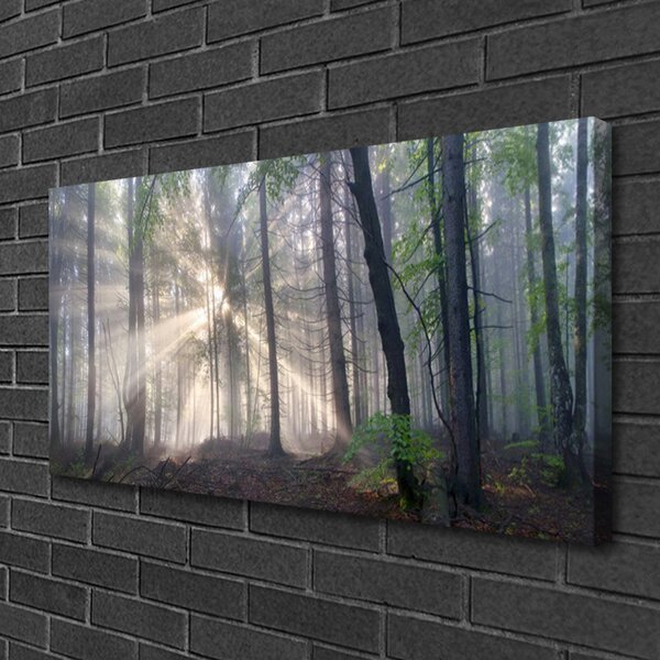 Quadro su tela Alberi della natura della foresta 100x50 cm