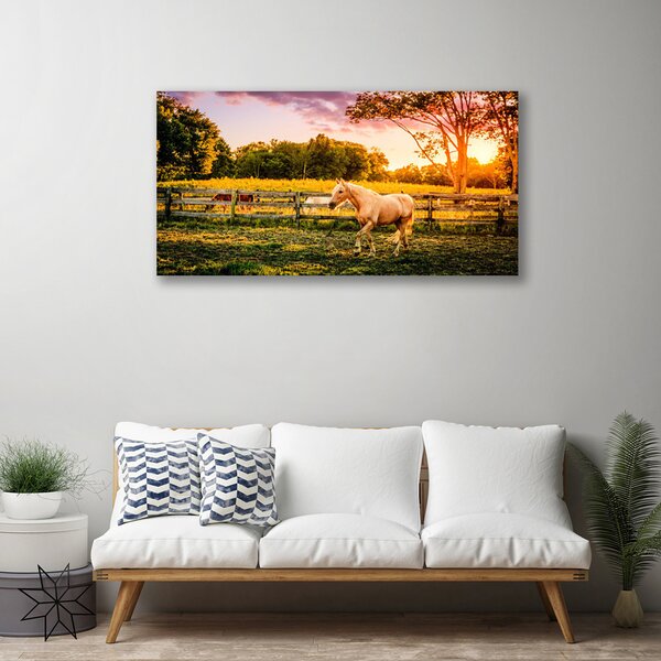 Stampa quadro su tela Cavallo. Prato. Animali 100x50 cm
