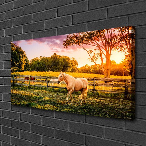 Stampa quadro su tela Cavallo. Prato. Animali 100x50 cm