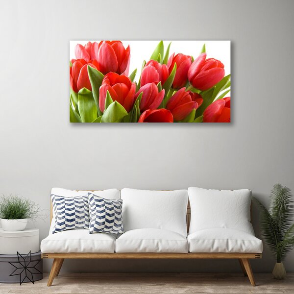Quadro su tela Tulipani, fiori, piante 100x50 cm