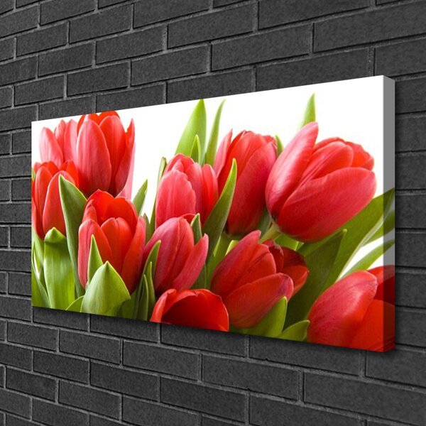 Quadro su tela Tulipani, fiori, piante 100x50 cm