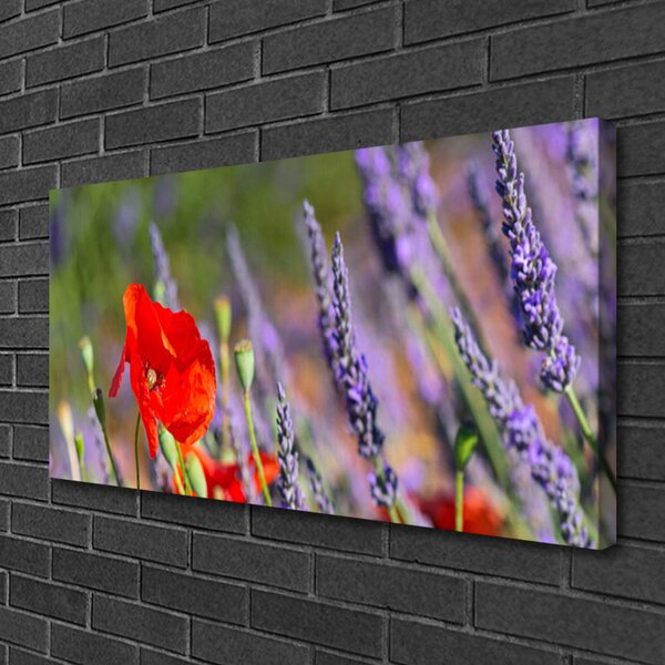 Quadro su tela I fiori della pianta 100x50 cm