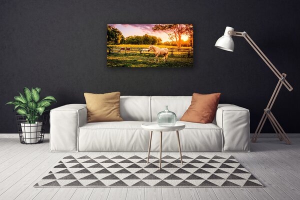 Stampa quadro su tela Cavallo. Prato. Animali 100x50 cm