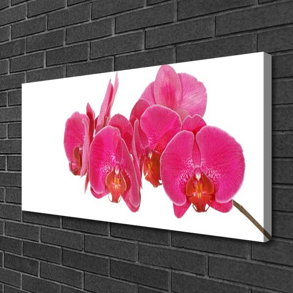 Quadro su tela I fiori della pianta 100x50 cm