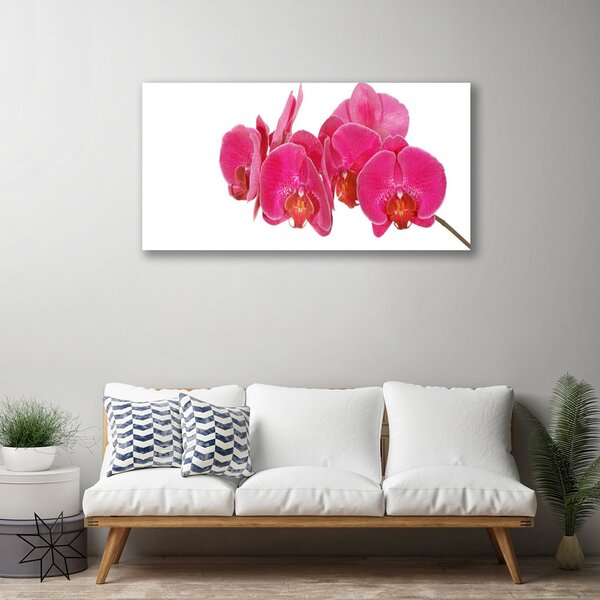 Quadro su tela I fiori della pianta 100x50 cm