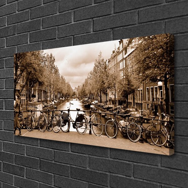 Foto quadro su tela Paesaggio degli alberi della bicicletta del fiume 100x50 cm