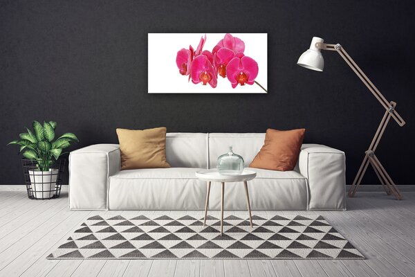 Quadro su tela I fiori della pianta 100x50 cm