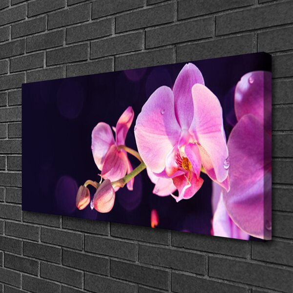 Quadro stampa su tela I fiori della pianta 100x50 cm