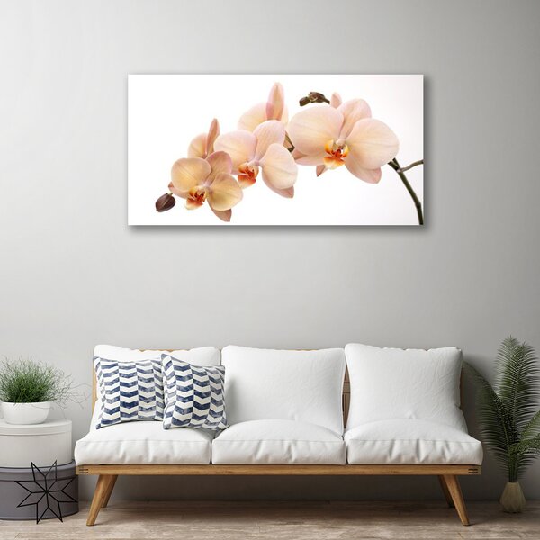 Quadro su tela I fiori della pianta 100x50 cm