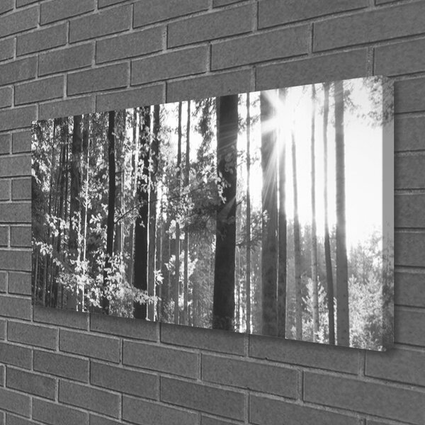 Foto quadro su tela Alberi della natura della foresta 100x50 cm