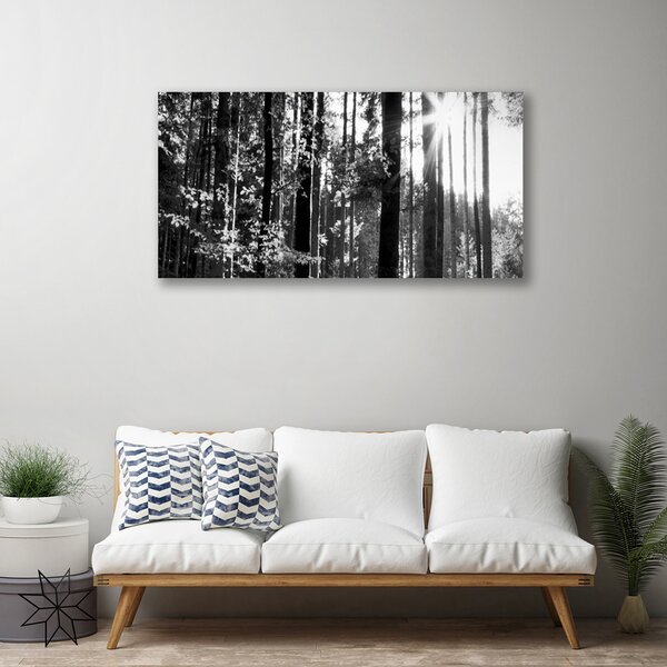 Foto quadro su tela Alberi della natura della foresta 100x50 cm