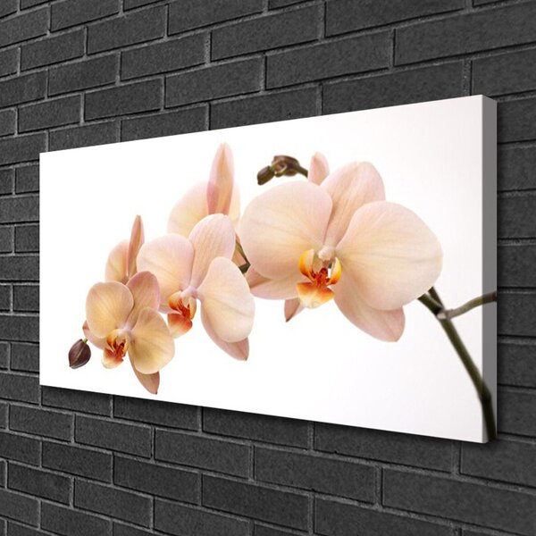 Quadro su tela I fiori della pianta 100x50 cm