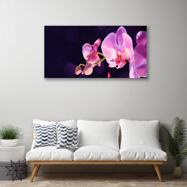 Quadro stampa su tela I fiori della pianta 100x50 cm