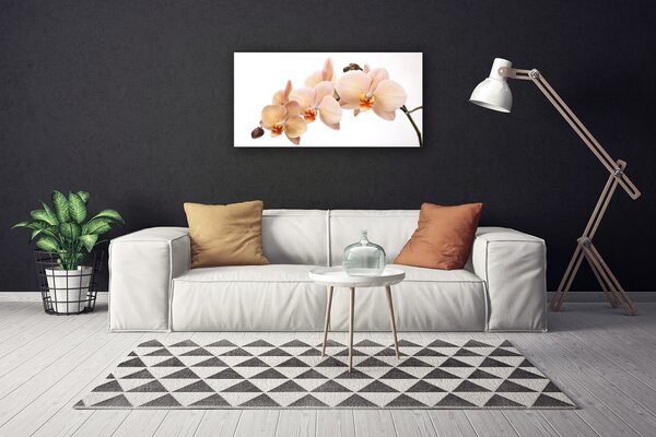 Quadro su tela I fiori della pianta 100x50 cm