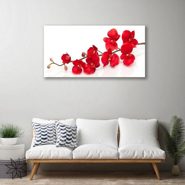 Quadro su tela I fiori della pianta 100x50 cm