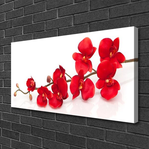 Quadro su tela I fiori della pianta 100x50 cm