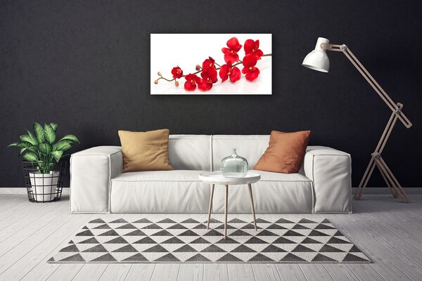 Quadro su tela I fiori della pianta 100x50 cm
