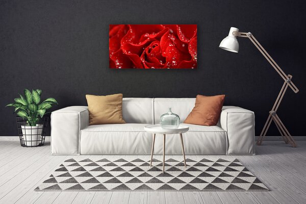 Quadro su tela Natura della pianta del fiore della rosa 100x50 cm
