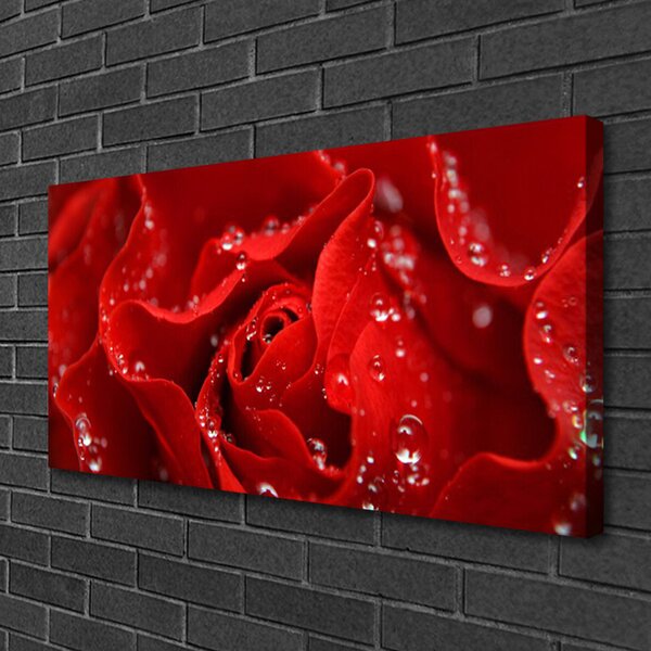 Quadro su tela Natura della pianta del fiore della rosa 100x50 cm