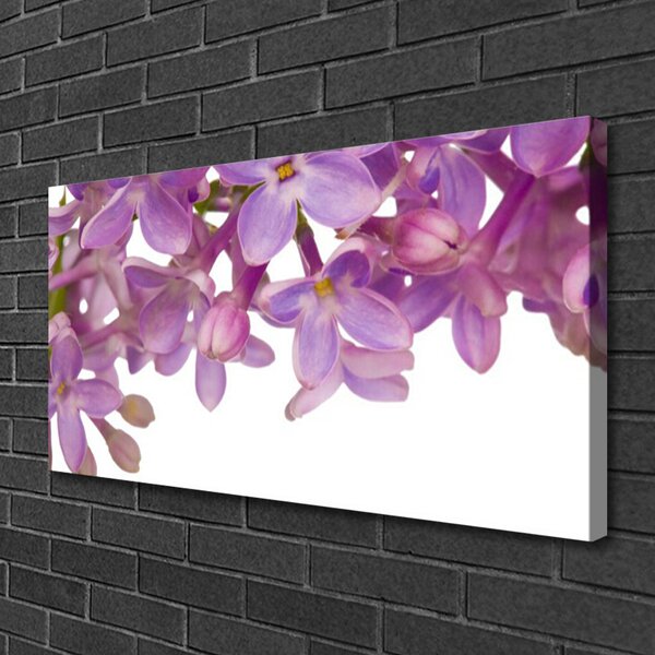 Quadro su tela I fiori della pianta 100x50 cm