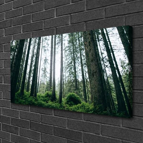 Quadro su tela Alberi della natura della foresta 100x50 cm