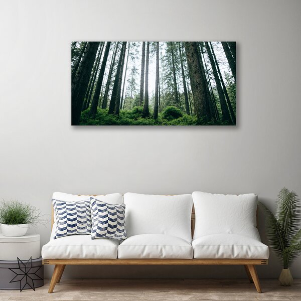 Quadro su tela Alberi della natura della foresta 100x50 cm