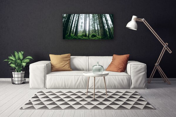 Quadro su tela Alberi della natura della foresta 100x50 cm