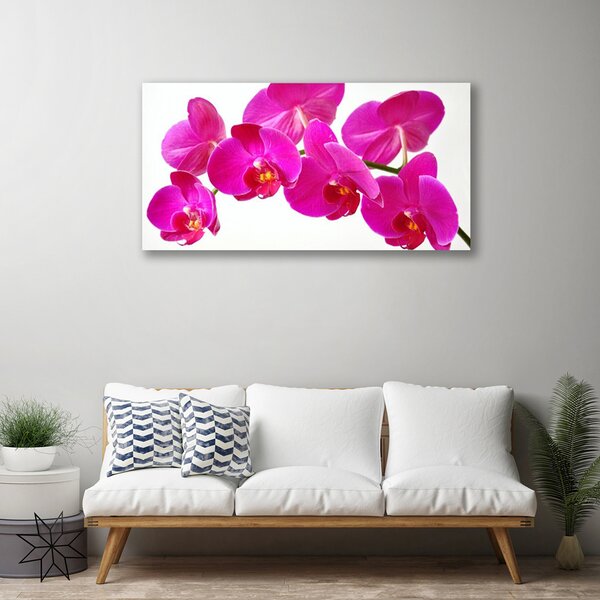 Quadro su tela I fiori della pianta 100x50 cm