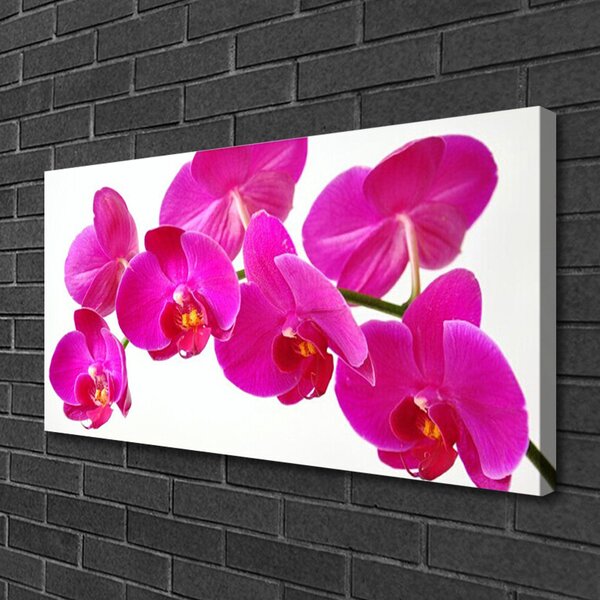 Quadro su tela I fiori della pianta 100x50 cm